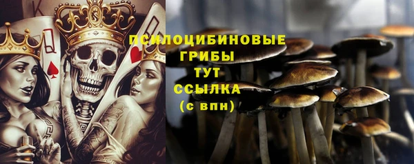 MDMA Premium VHQ Беломорск