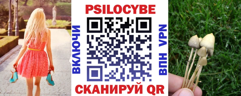 Галлюциногенные грибы Psilocybe Семикаракорск